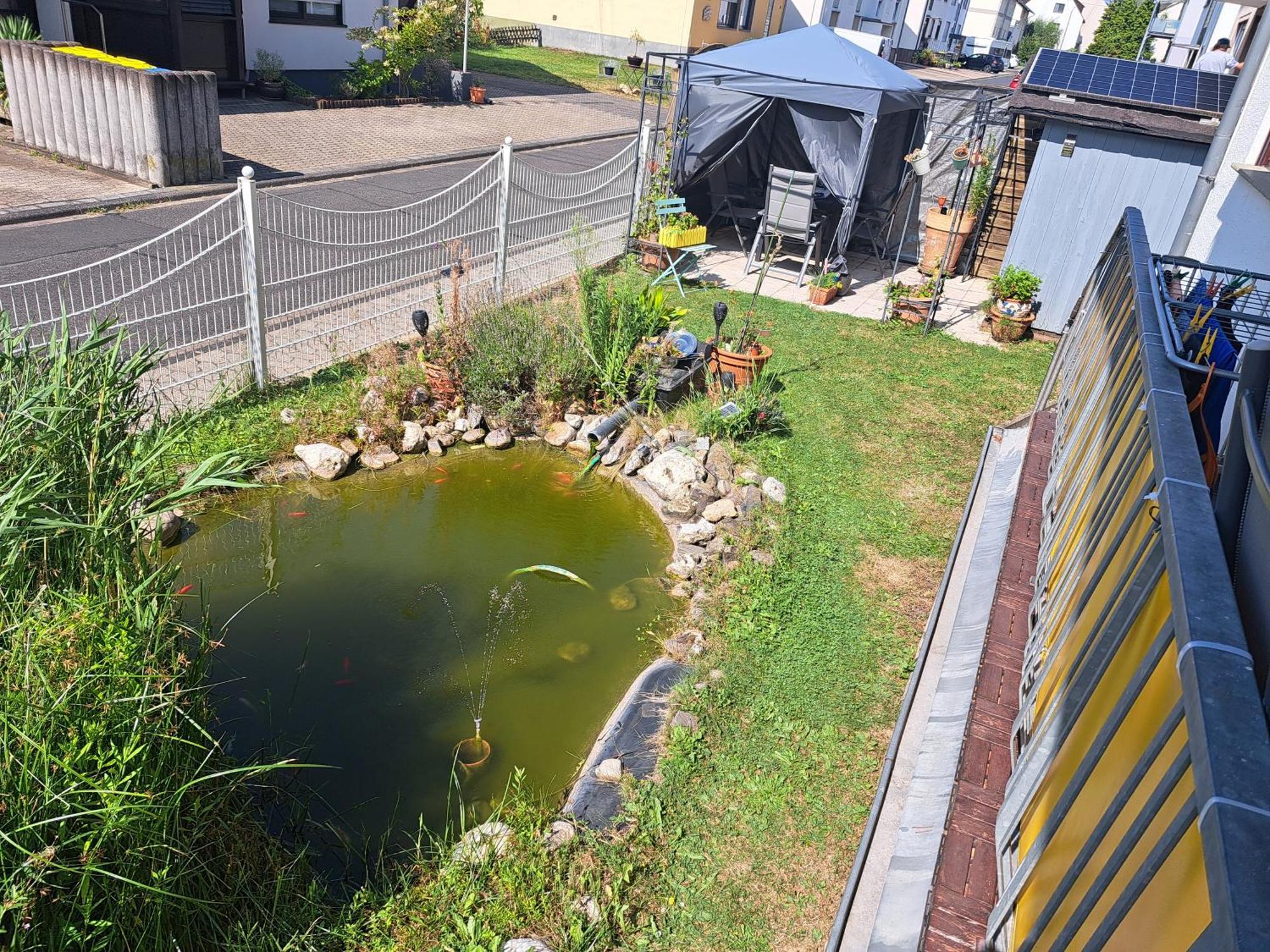 Ferienwohnung Hilgert Sankt Sebastian Buitenkant foto